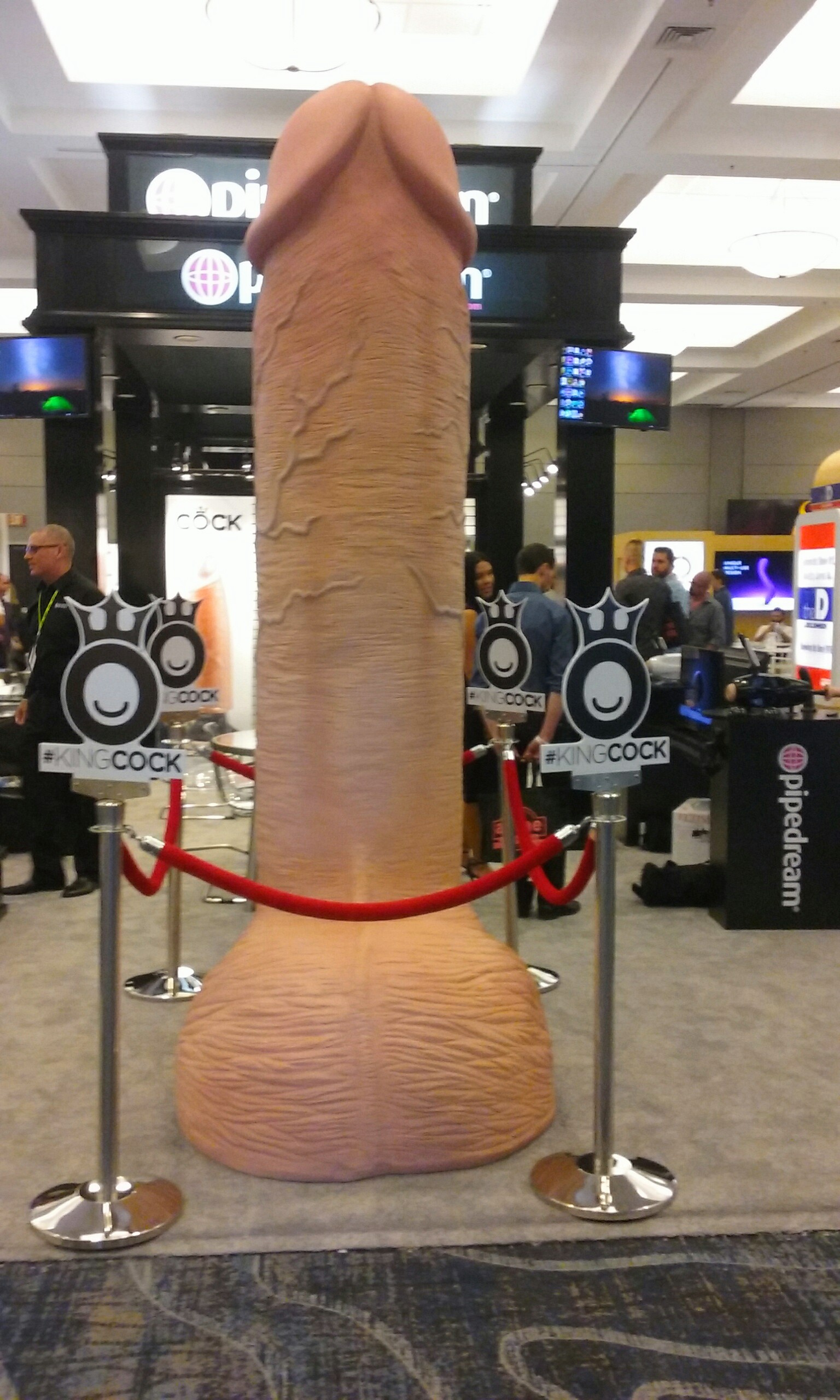 Sex Toy Convention 8