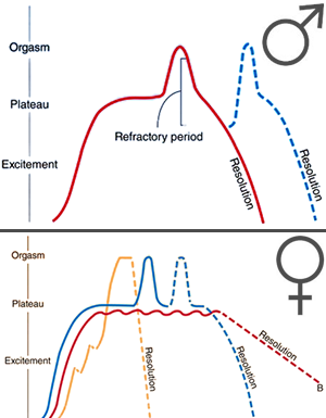What Do Really Women Want? Orgasm Equality!