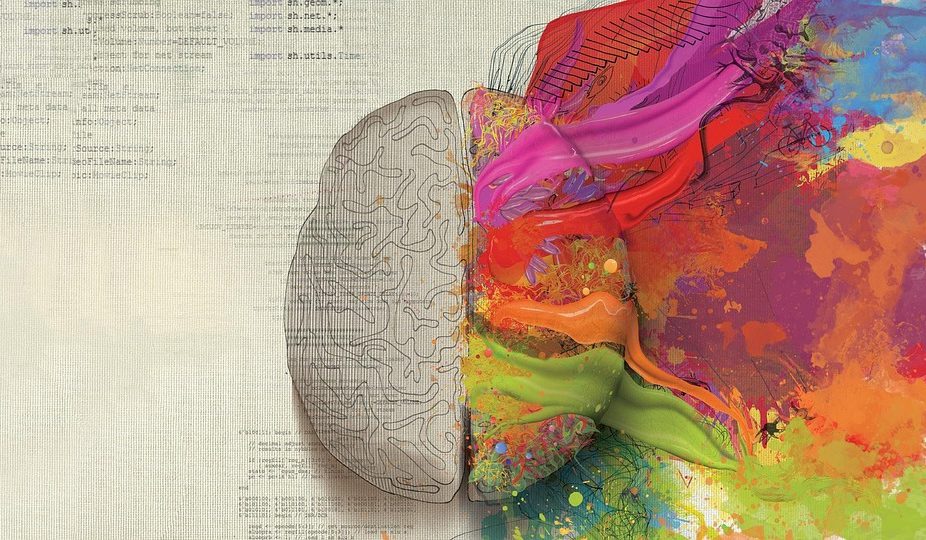 El hemisferio izquierdo del cerebro